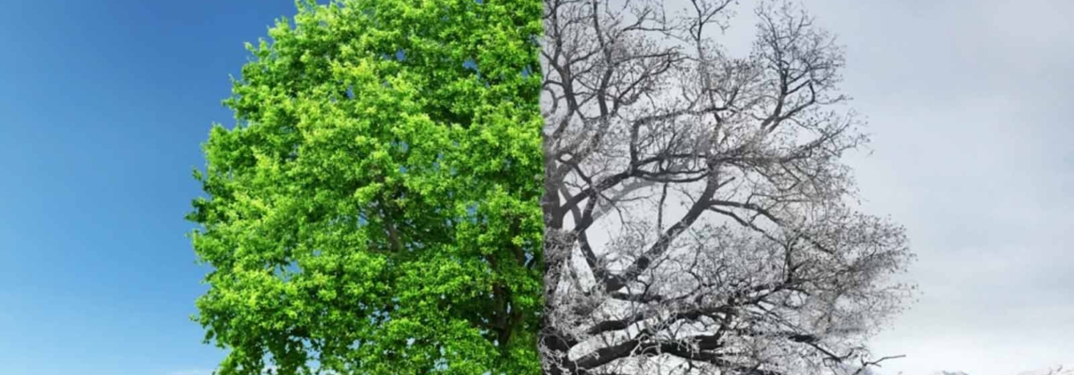 Operazione-laser-occhi-in-estate-od-in-inverno